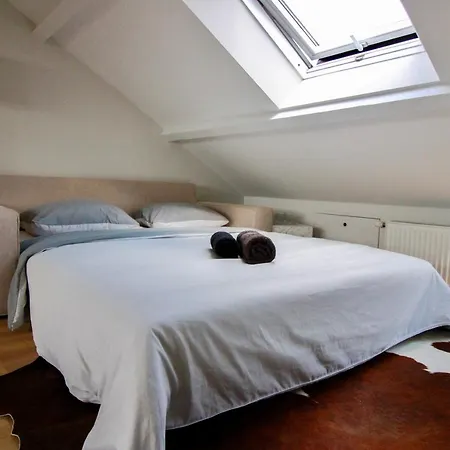 Beautiful Penthouse Near Rai And Centre *